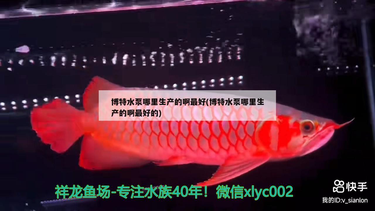 博特水泵哪里生產的啊最好(博特水泵哪里生產的啊最好的)