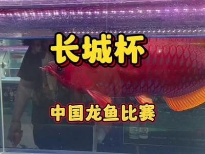 創寧水泵售后官網電話，創寧變頻水泵售后電話