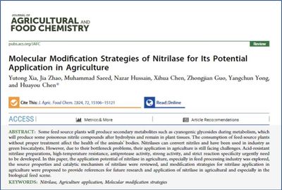 龍魚長多大能判斷是不是過背金龍魚高背好還是過背好