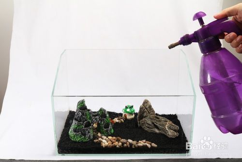 創寧水泵如何辨別真假視頻教學，創寧水泵如何辨別真假視頻教學全集