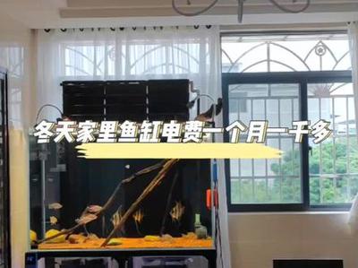 創寧水泵流量變小怎么回事（創寧水泵突然水很小）