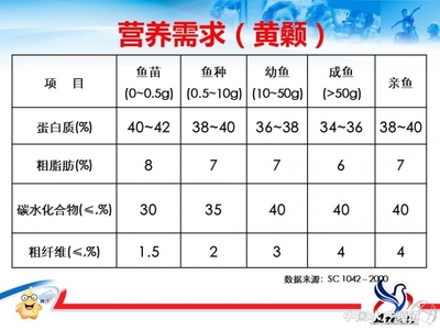 創寧加熱棒說明書圖解大全，創寧加熱棒是哪里生產的