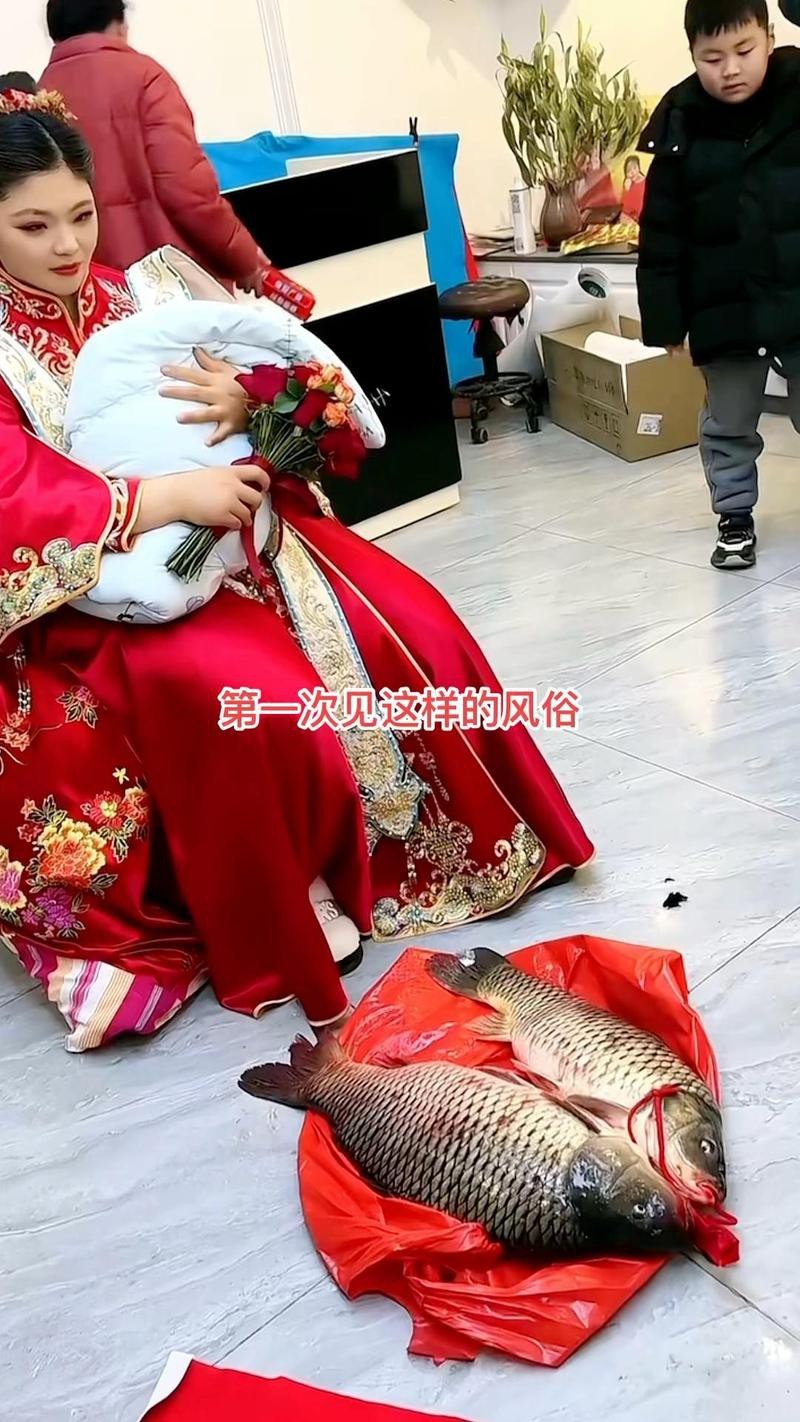 兩條魚一般人壓不住嗎【“兩條魚一般人壓不住”的說法】