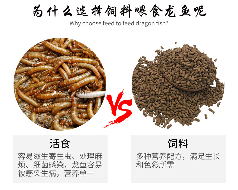 5cm虎魚苗喂什么好：5cm虎魚苗的喂養方式