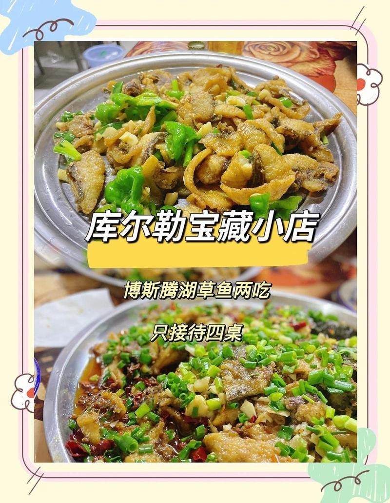 頭屯河龍魚店，烏魯木齊頭屯河區(qū)哪家龍魚店口碑最好哪家龍魚店口碑最好