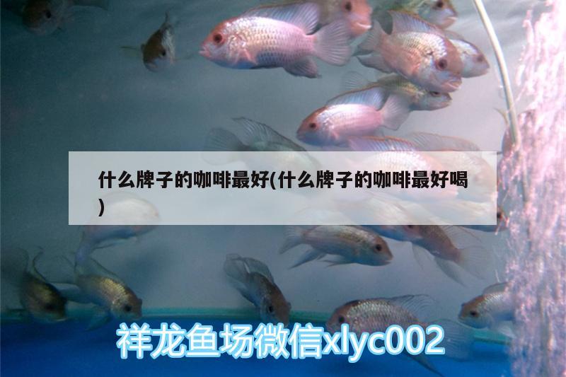 什么牌子的咖啡最好(什么牌子的咖啡最好喝)