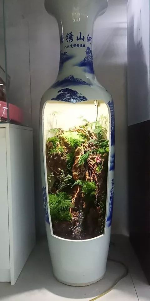 樂平水族店，樂平有哪些水族店？ 樂平水族店，樂平有哪些水族店？ 全國水族館企業名錄 第3張