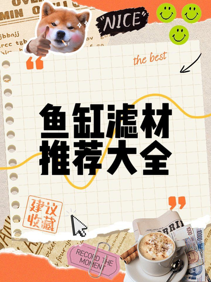 濾材哪種最實用，《濾材哪種最實用》在眾多過濾場景中