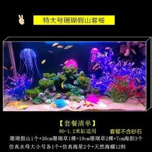 大魚缸怎么造景好看視頻：尋找大魚缸造景視頻教程&c6h8o7na3+c6h5o7na3+ 大魚缸怎么造景好看視頻：尋找大魚缸造景視頻教程&c6h8o7na3+c6h5o7na3+ 魚缸百科 第2張