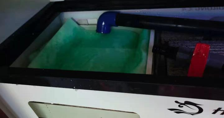 銀龍魚身上白色絮狀物脫落是不是就好了呀(龍魚身上有白色絮狀物怎么辦)