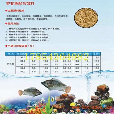 藍色過背金龍魚怎么養活的（藍底過背金龍魚什么時候變藍）