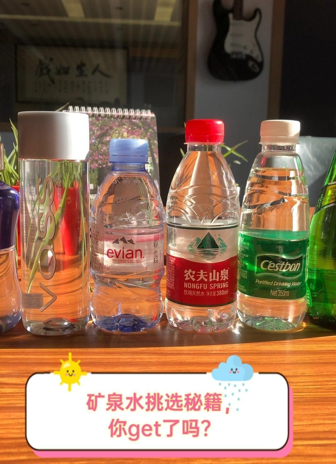 礦泉水家族，《礦泉水家族》《礦泉水家族》