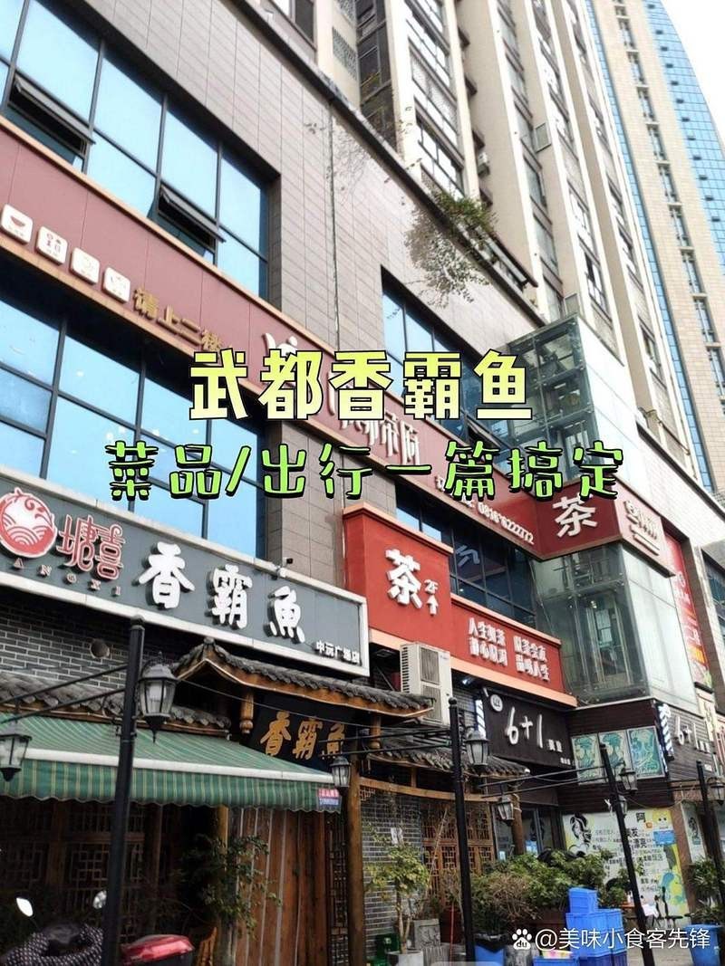 武都龍魚店，武都龍魚店有哪些套餐