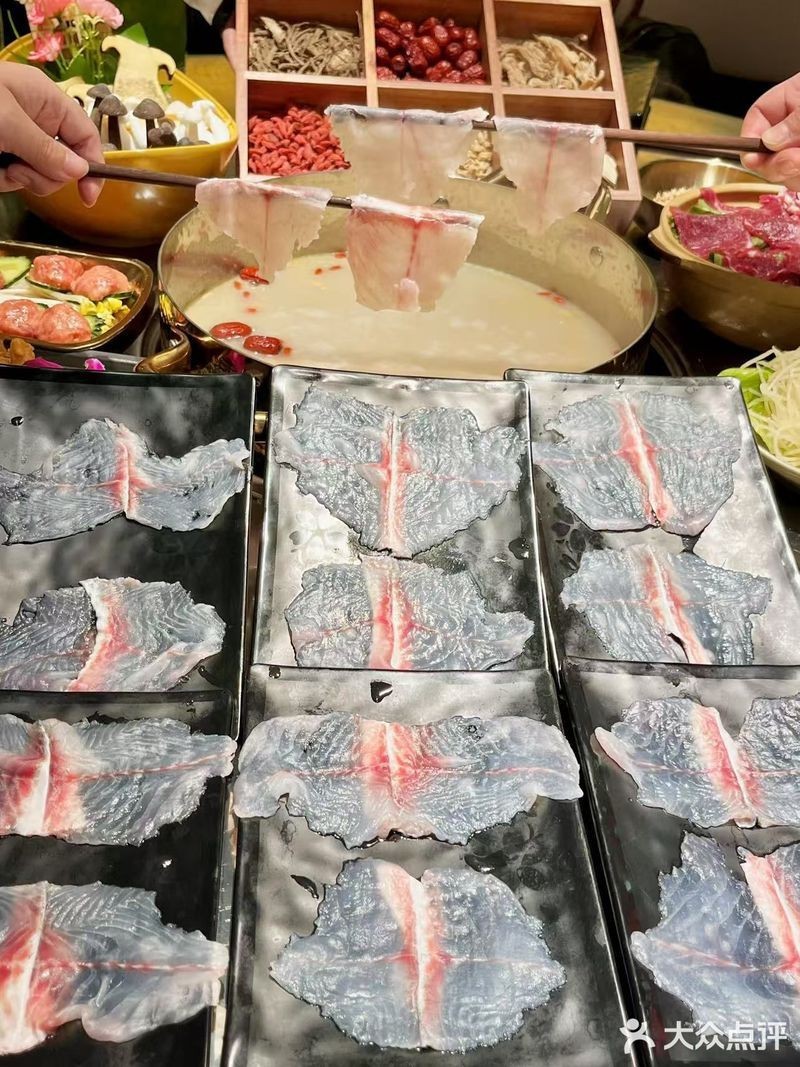 康樂(lè)龍魚(yú)店，康樂(lè)龍魚(yú)店在哪里 康樂(lè)龍魚(yú)店，康樂(lè)龍魚(yú)店在哪里 全國(guó)水族館企業(yè)名錄 第7張