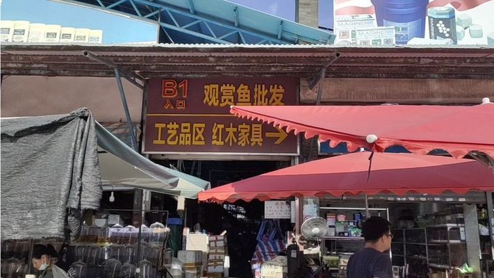 龍魚之巔論壇龍魚之巔(龍魚吧百度貼吧) 金龍魚百科 第2張 龍魚之巔論壇龍魚之巔(龍魚吧百度貼吧) 龍魚之巔論壇龍魚之巔(龍魚吧百度貼吧) 金龍魚百科 第2張