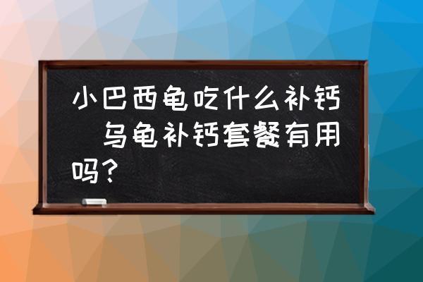 金虎魚(yú)（金虎魚(yú)圖片及價(jià)格） 金虎魚(yú)（金虎魚(yú)圖片及價(jià)格） 虎魚(yú)百科 第1張