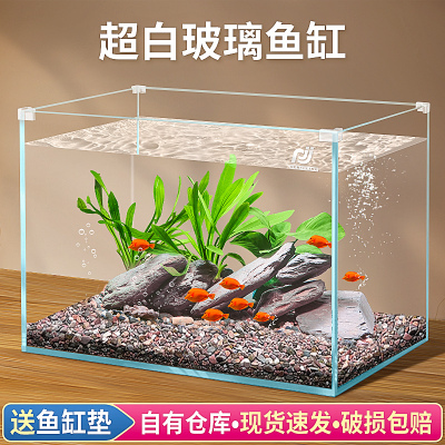 虎皮魚適合養多少條，虎皮魚用多大的魚缸，養多少條：80的魚缸能養多少條虎皮魚