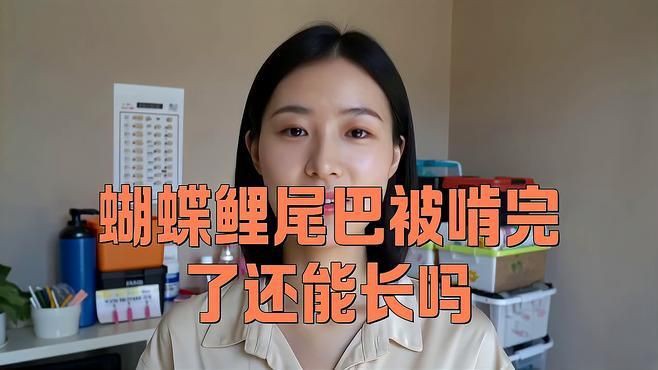 魚尾巴被咬后多久會恢復(fù)，《魚尾巴被咬后多久會恢復(fù)》