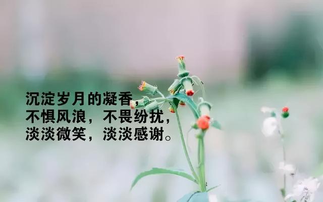 龍魚趴缸的原因有哪些vs祥龍魚場(chǎng)：如何預(yù)防龍魚趴缸現(xiàn)象