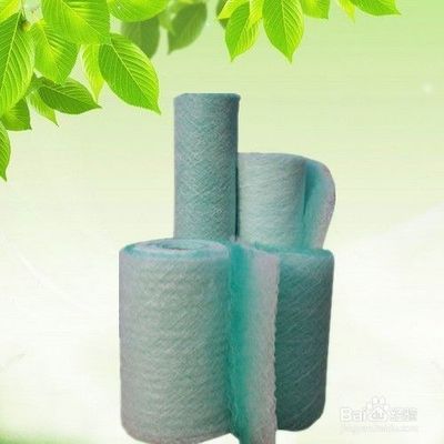 豬鼻龜多少水溫適合冬眠養(豬鼻子龜對水溫的要求)