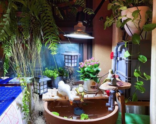 經(jīng)典水族魚缸(觀賞水族缸)