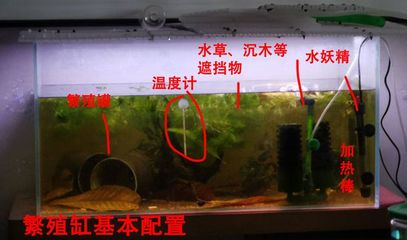 創寧加熱棒出現e1是什么原因造成的(創寧加熱棒出現e2是什么原因)
