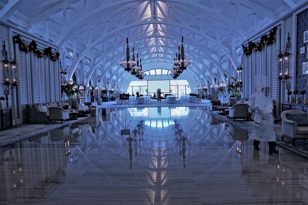 豬鼻龜作用(豬鼻龜養法)