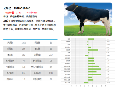 印度紅龍魚價格表最新：印度尼西亞紅龍魚價格表