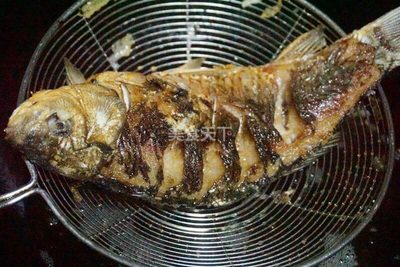 印尼虎的價(jià)格：印尼虎價(jià)格受到多種因素影響印尼虎的價(jià)格受到多種因素影響