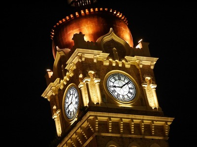 過背金龍魚的價格是多少錢（何為過背金龍魚）