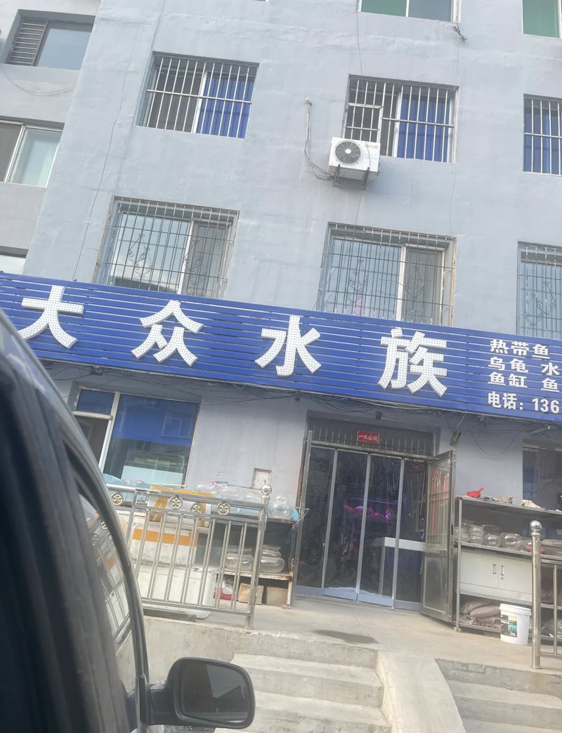新民水族店，新民市小乖乖生態水族店