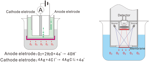 創寧水泵廠家電話地址查詢（創寧水泵廠家是哪里）
