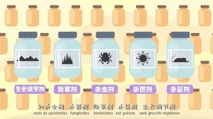 紅龍魚如何發(fā)色才好看：紅龍魚如何發(fā)色才好看，紅龍魚飼養(yǎng)環(huán)境的顏色選擇