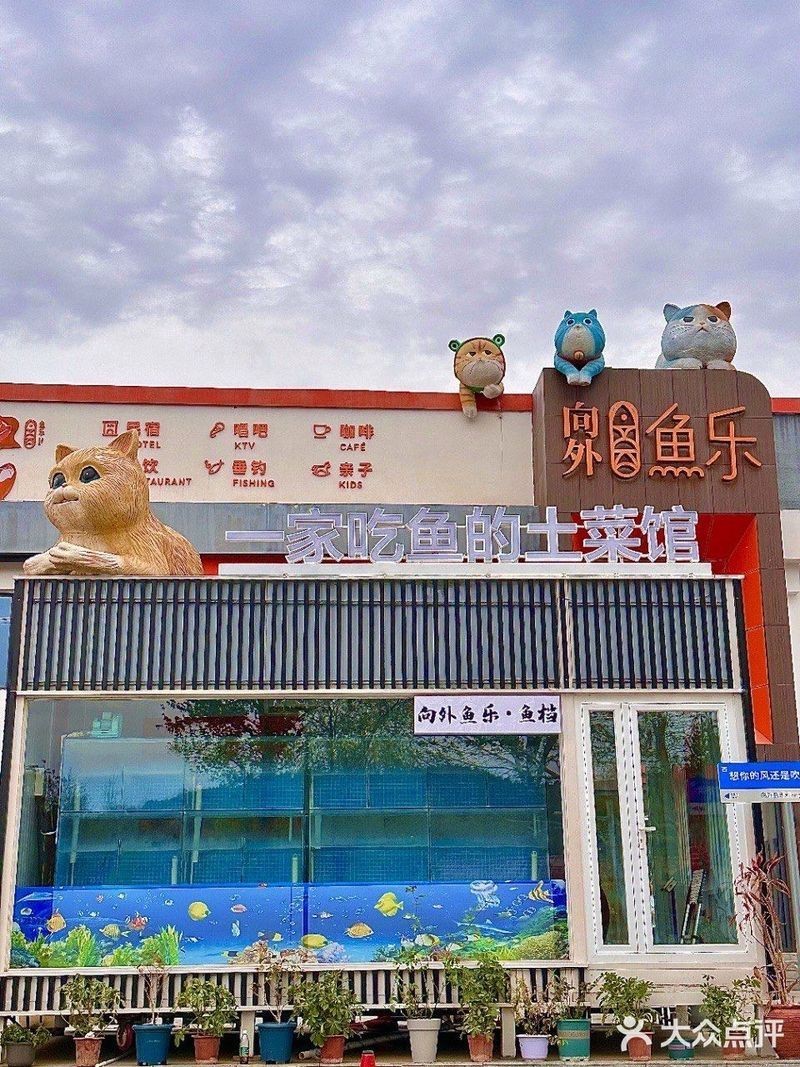 懷柔龍魚店，一家懷柔的龍魚店哪家懷柔的龍魚店口碑最好