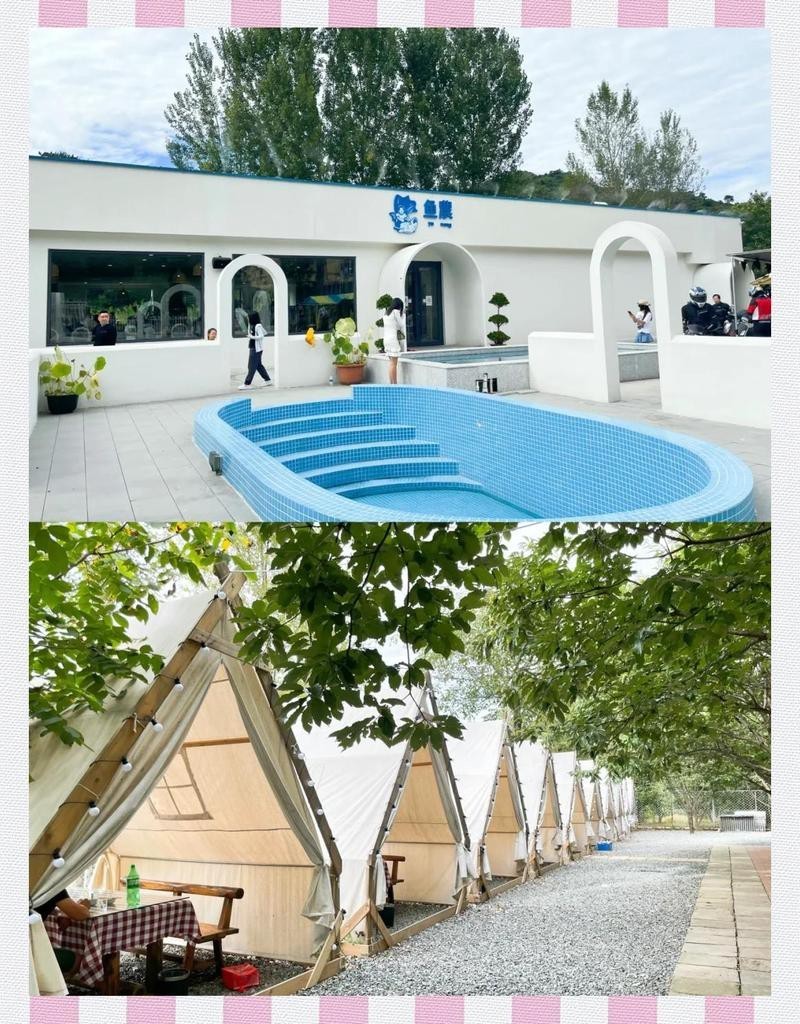 懷柔龍魚店，一家懷柔的龍魚店哪家懷柔的龍魚店口碑最好