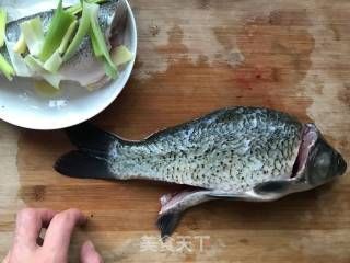 銀龍魚英文名字(銀龍魚英文怎么說)