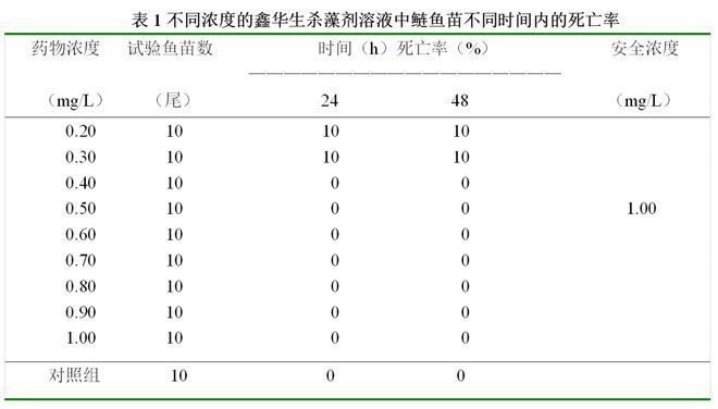 金龍魚高背與過背圖解:1米長過背金龍魚價值