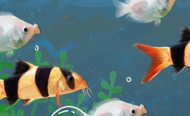 創寧水泵故障代碼E06怎么解決(創寧水泵e07是什么故障)