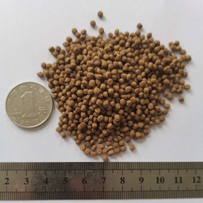 50cm過背金龍魚多少錢一條圖片欣賞（20厘米過背金龍魚圖片）