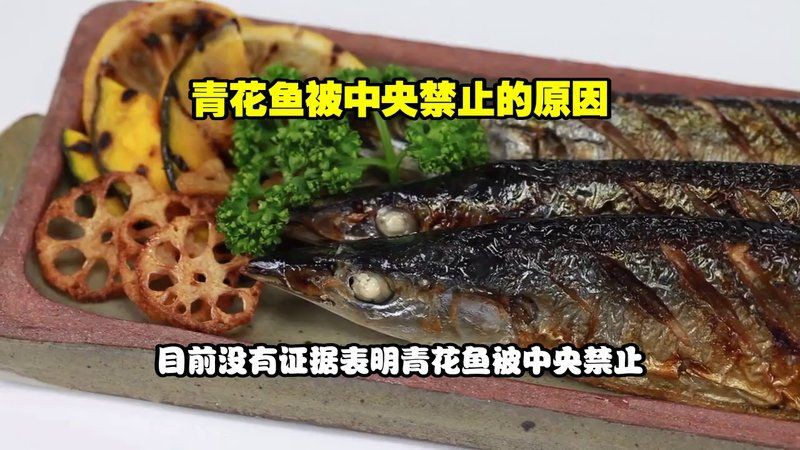 玫瑰魚仔為什么買不到了，市場上難以買到玫瑰魚仔的原因可能涉及多方面因素