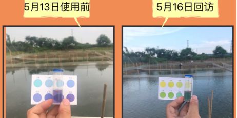 龍魚魚糧那個(gè)性價(jià)比高vs祥龍魚場：祥龍魚場魚糧與祥龍魚場的性價(jià)比如何辨別魚糧質(zhì)量