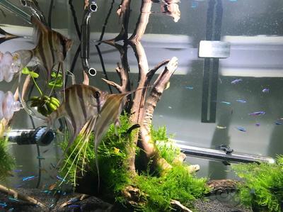 運城水族館vs祥龍魚場（運城水族館與祥龍魚場）