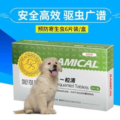 博特拉大學排名進步了(博特拉大學相當于國內的什么水平)