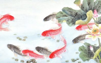魟魚繁殖魚缸多大合適養魚：魟魚繁殖魚缸合適尺寸主要取決于以下幾個因素