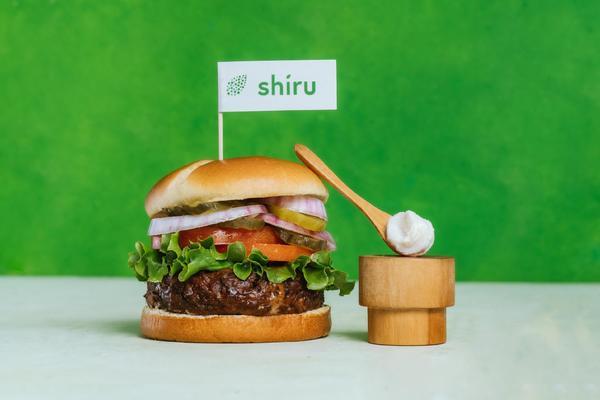 過背金龍多少錢(過背金龍魚多少錢)