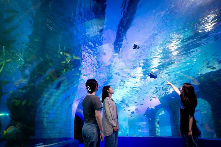 天津水族店，天津有哪些知名的水族造景師 天津水族店，天津有哪些知名的水族造景師 全國水族館企業(yè)名錄 第1張