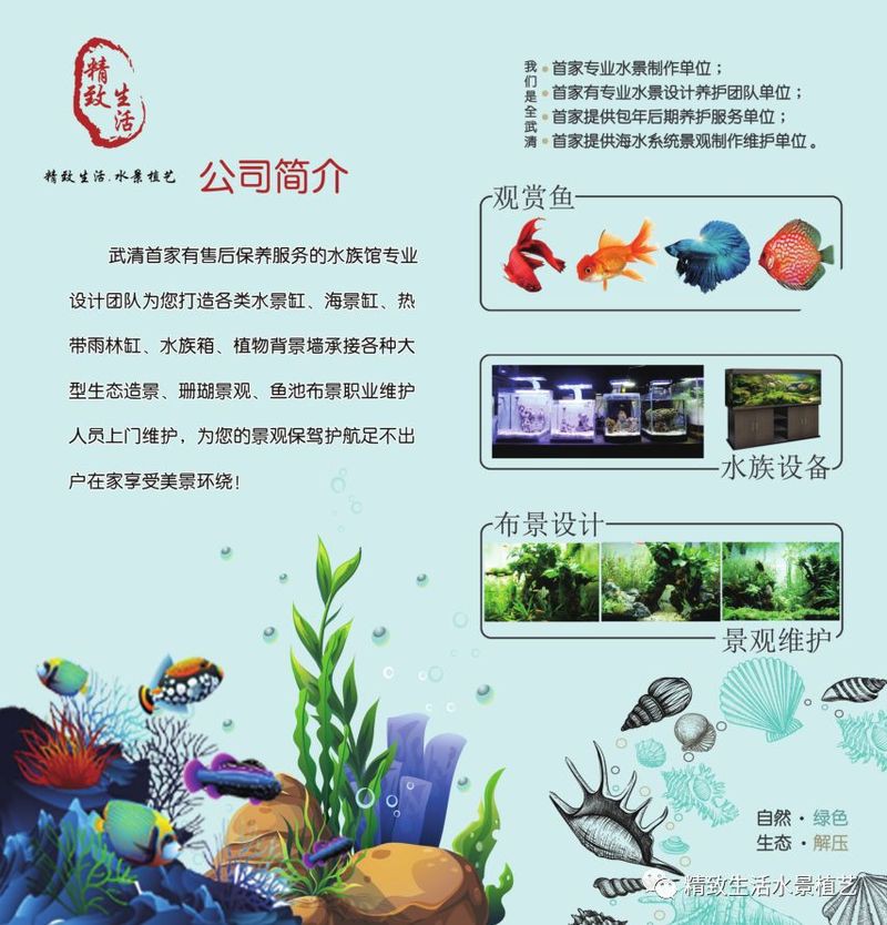 天津水族店，天津有哪些知名的水族造景師 天津水族店，天津有哪些知名的水族造景師 全國水族館企業(yè)名錄 第7張