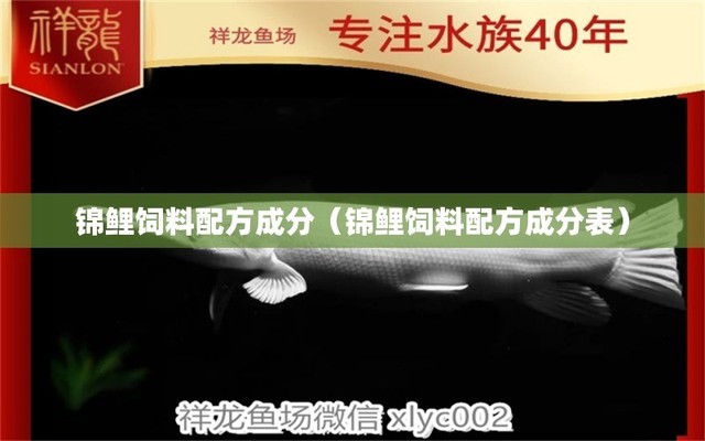 大型魚缸清理缸壁：大型魚缸的缸壁清理方法和注意事項和注意事項