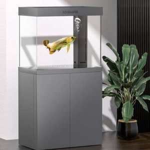 龍魚(yú)魚(yú)鱗病vs祥龍魚(yú)場(chǎng)：如何預(yù)防龍魚(yú)鱗病