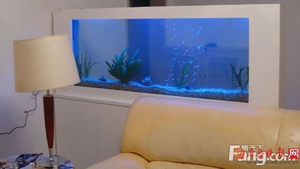 博特水泵安裝示意圖片(博特水泵安裝示意圖片)